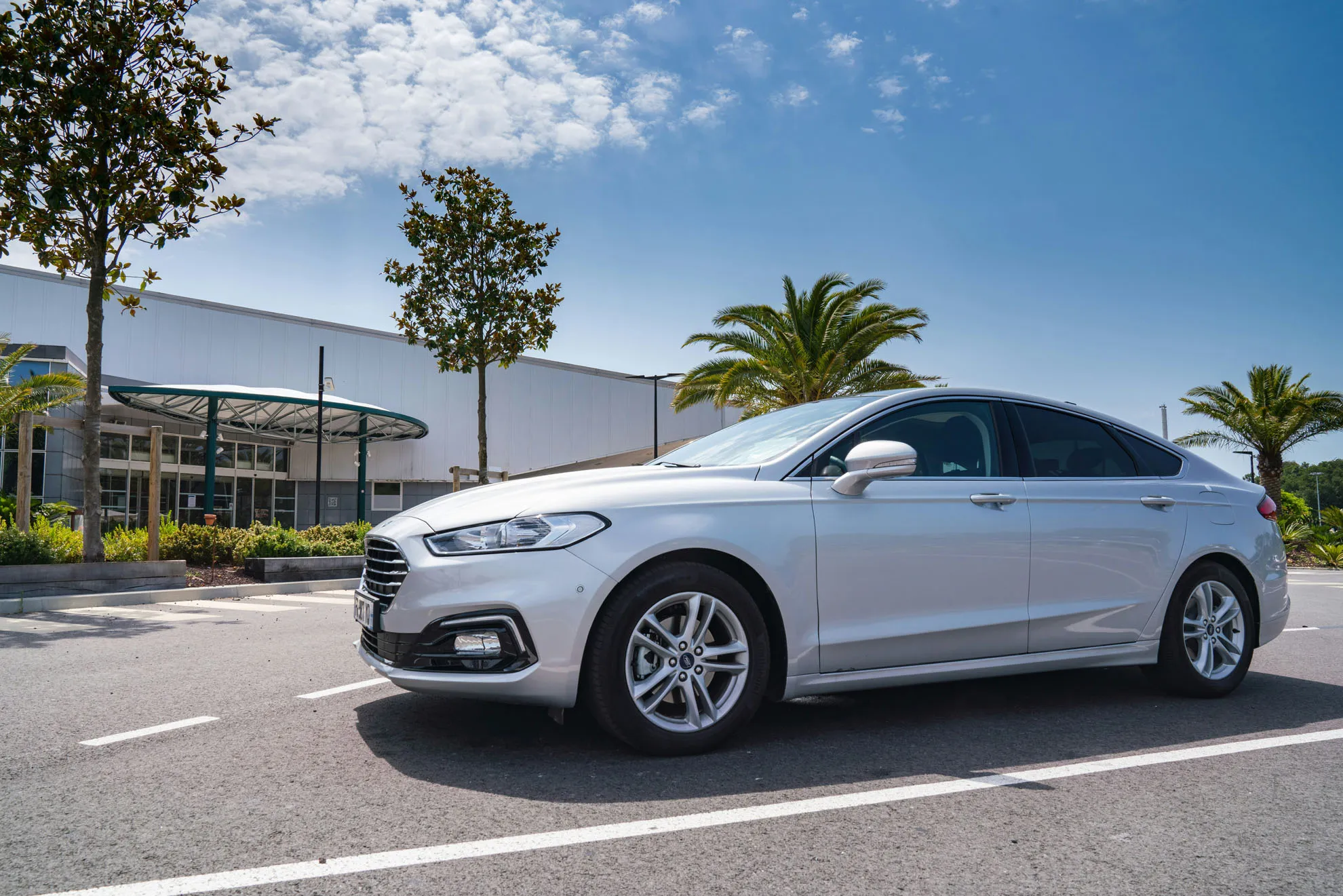 Premium Car Rentals
